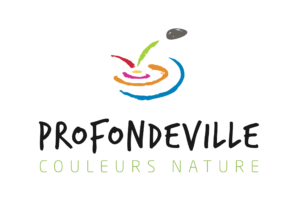 logo_profondeville logo_profondeville